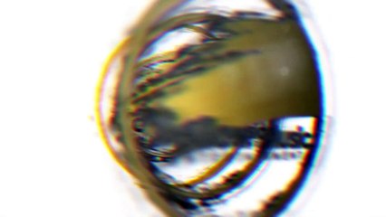 Αγγελική Δάρρα - Σε Θέλω Εδώ (Official Music Video)