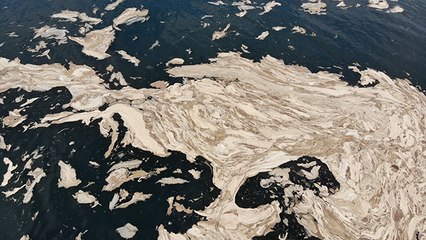 Beyaza bürünen Gemlik Körfezi korkuttu