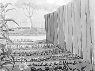 LOONEY TUNES CARTOON- Captain and the Kids- Poultry Pirates