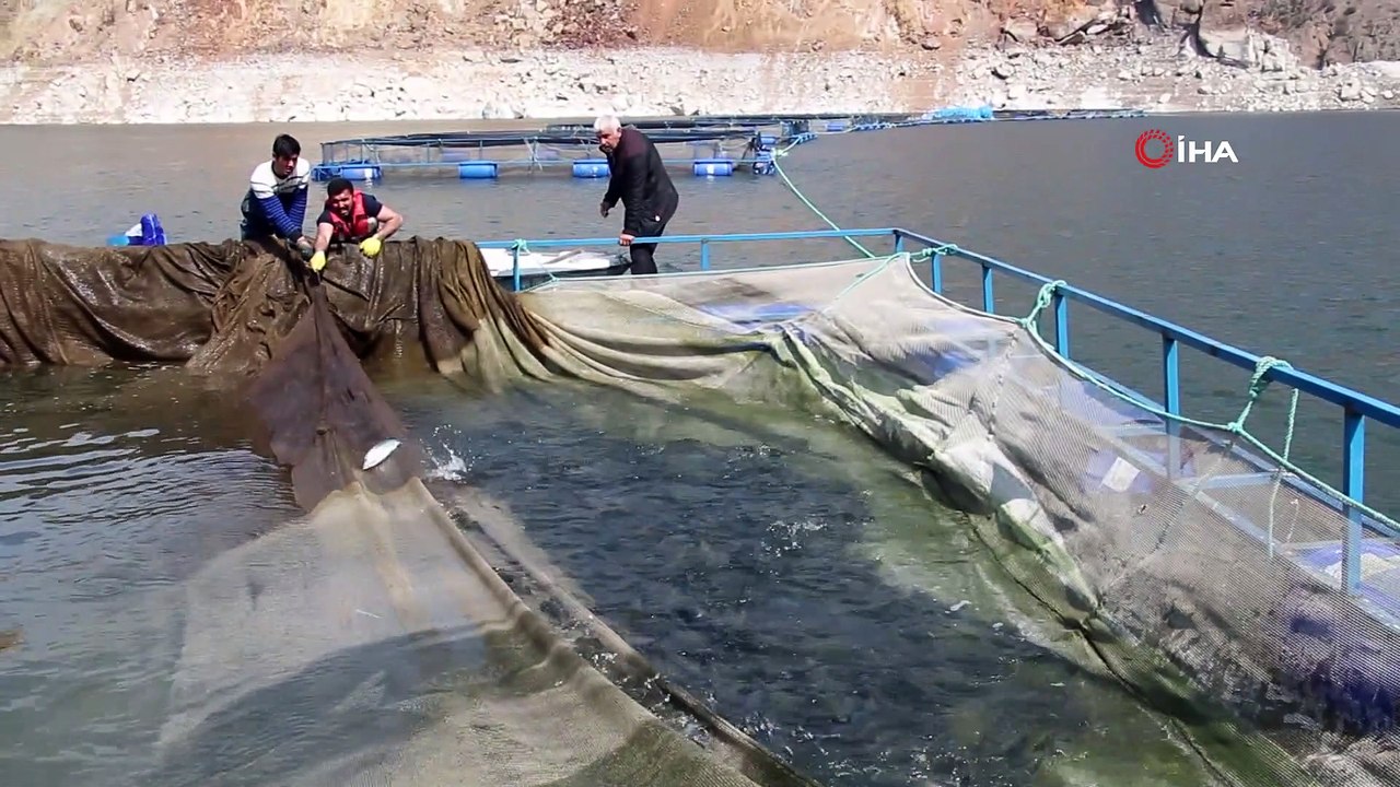 Ayvalı Barajında balık üretimi başladı