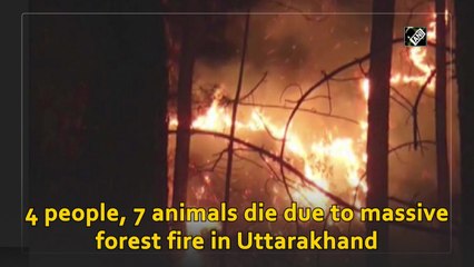 4 people, 7 animals die due to massive forest fire in Uttarakhand