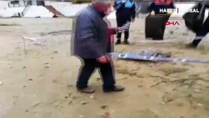 90 kiloluk caretta caretta ölü bulundu