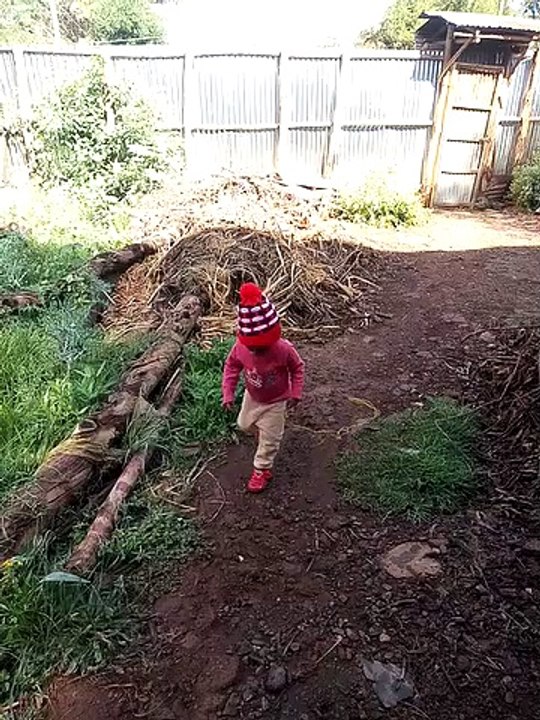 funy