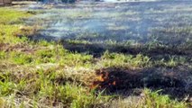 Fumaça provocada por incêndio ambiental traz grandes transtornos aos moradores do Bairro Siena