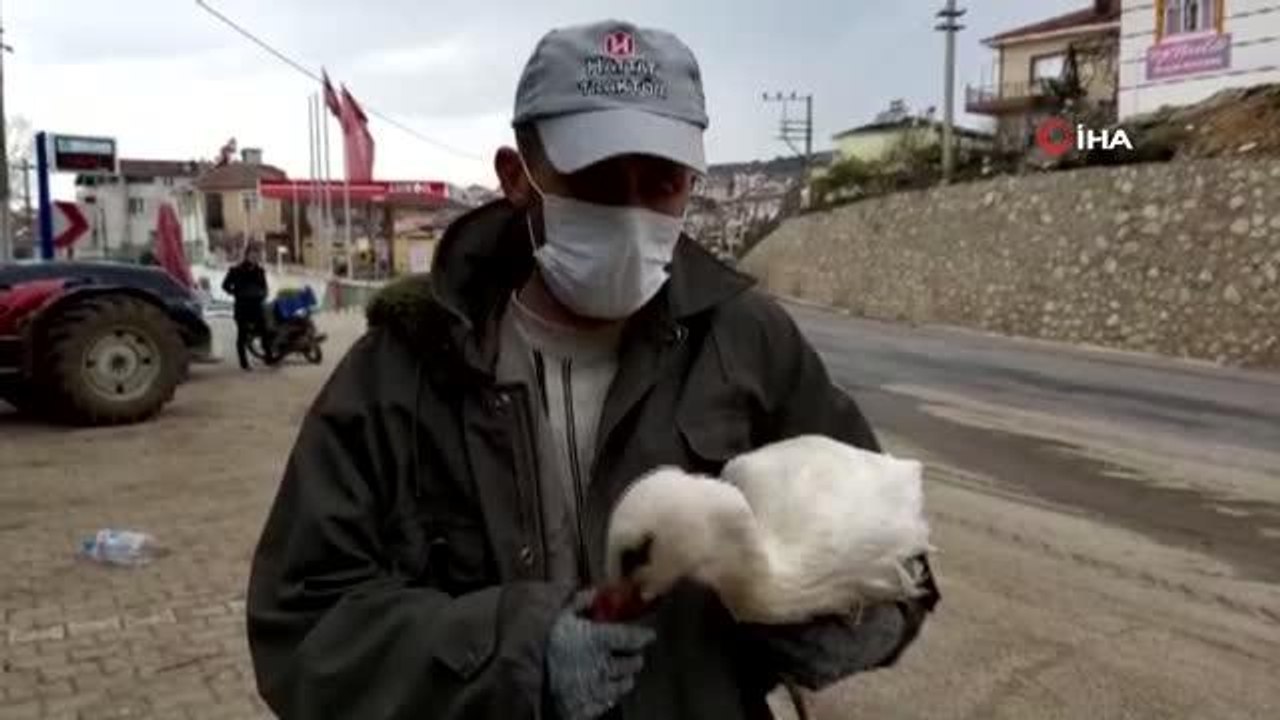 Bursa'da duyarlı çiftçi kanadı kırık leyleği yetkililere teslim etti