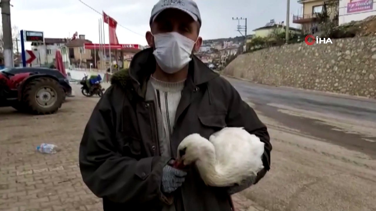 Bursa’da duyarlı çiftçi kanadı kırık leyleği yetkililere teslim etti