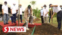 A million trees to be planted in Federal Territories