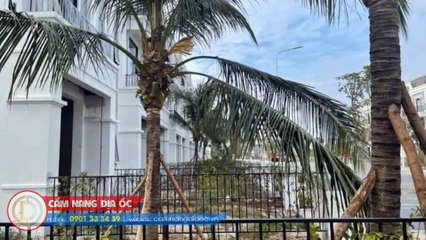 Những rủi ro khi đầu tư Phúc An Garden – Bạn nên lưu ý điều gì?