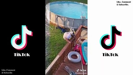 Flashing Titties In Front Of Boyfriend | Drop 'Em Out Challenge - Tiktok Compilation