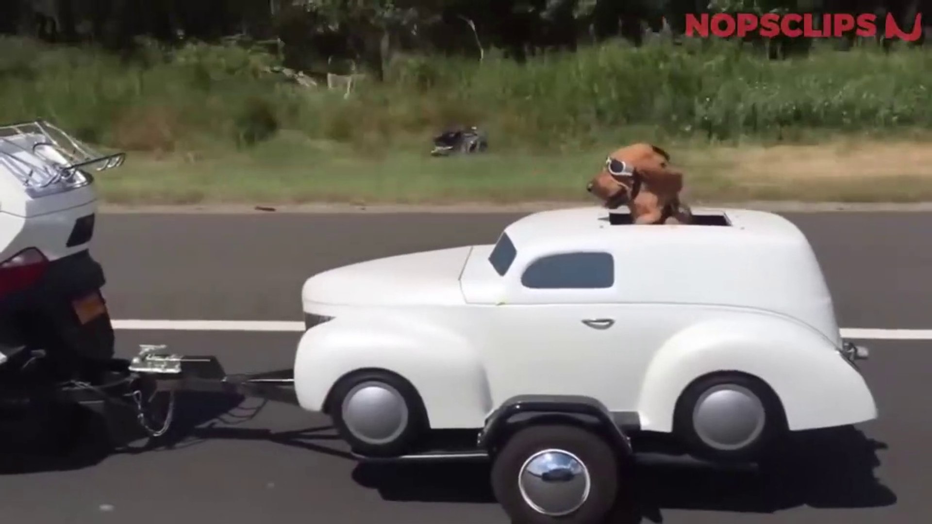 FUNNY VIDEOS | FUNNY MOMENTS | ENTERTAINMENT