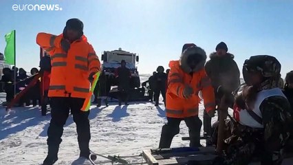 По караю Земли на собачьих упряжках