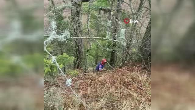 Tilki kovalarken düştüğü uçurumda 4 gündür mahsur kalan köpek kurtarıldı