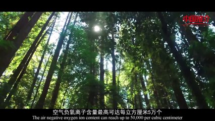 《中国推介》昭平：“梦境家园 长寿茶乡”  China Recommendation-Zhaoping： Dreamland Homeland Longevity Tea Village