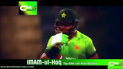 IMAM-ul-Haq  Batting Highlights
