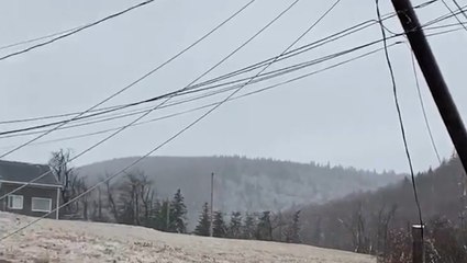 Ice storm leaves damage throughout Nova Scotia