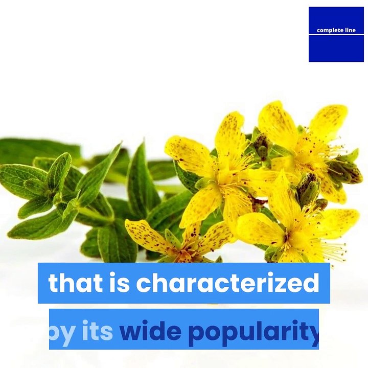 what-is-st-johns-wort-and-how-does-it-help-treat-depression