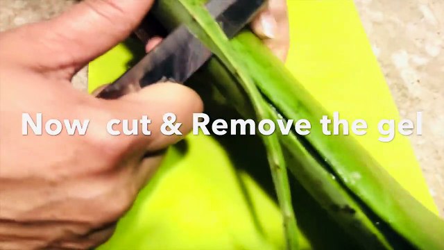 Aloe Vera _ How to remove Fresh Aloe Vera Gel at home. (3)