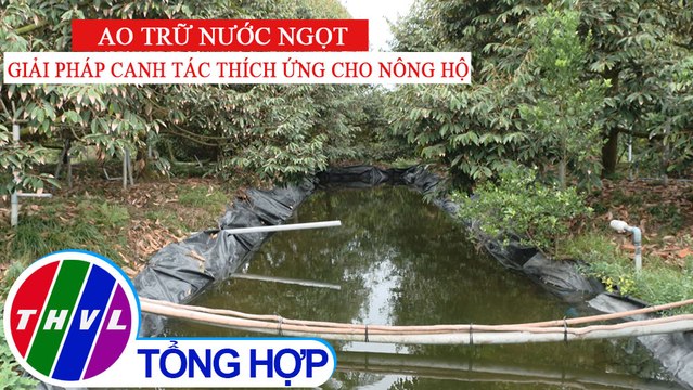 Nông nghiệp bền vững: Ao trữ nước ngọt - Giải pháp canh tác thích ứng cho nông hộ