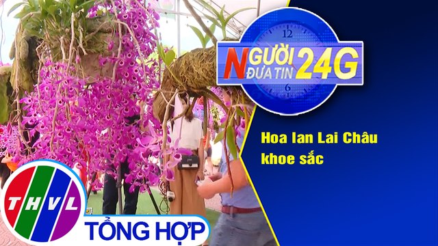 Người đưa tin 24G (6g30 ngày 4/4/2021) - Hoa lan Lai Châu khoe sắc
