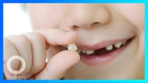 Obat Ajaib yang Mampu Tumbuhkan Gigi Tanggal - TomoNews