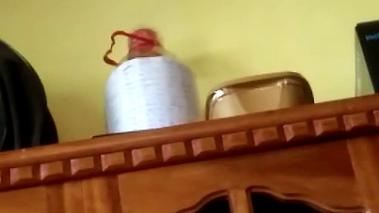 yan ang dalawang alcasya ku