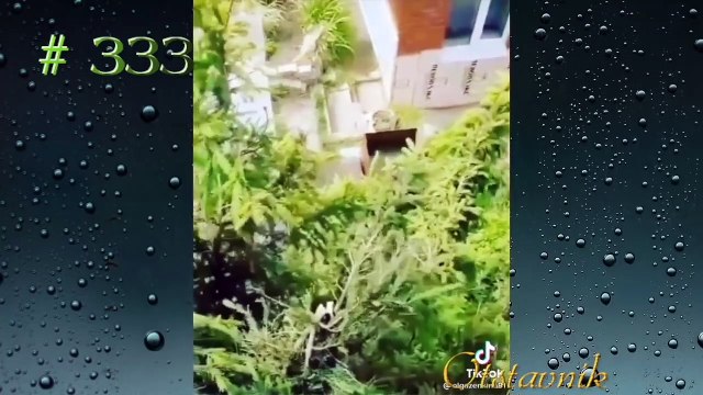 Чудики Из Тiк Ток Top Tiktok 2021 №333 (Тик Ток Видео)