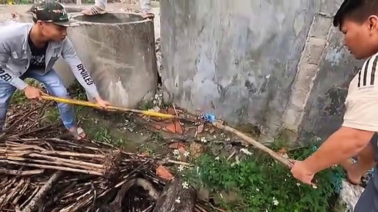 Rắn Hổ Mang Chúa Bị Cắn Cạp Nia Cắn Nát Đầu | The most poisonous snake in the world