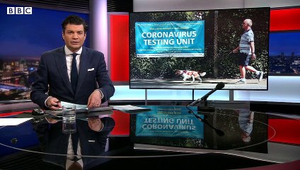 What happens to people's pets after the pandemic?