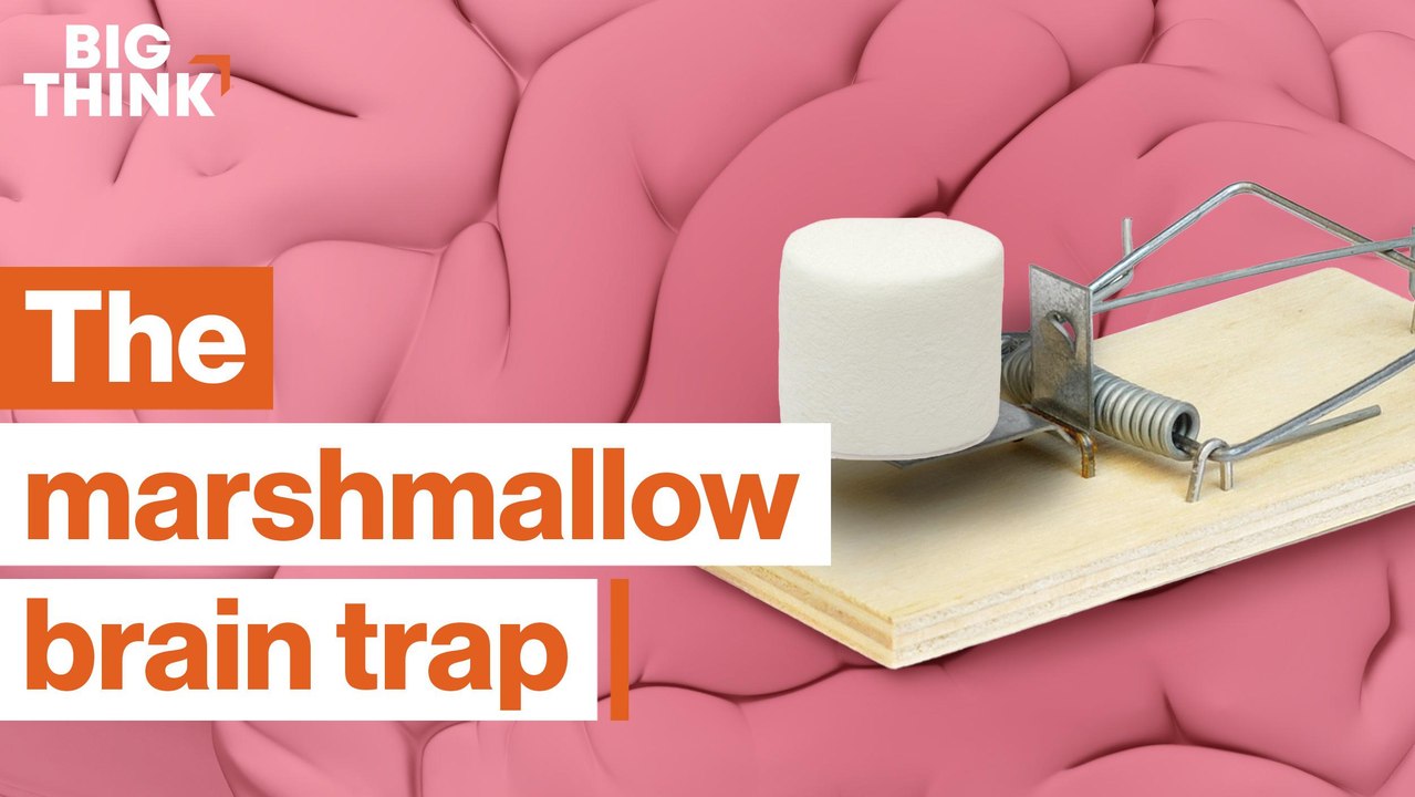 Retrain your brain for long-term thinking