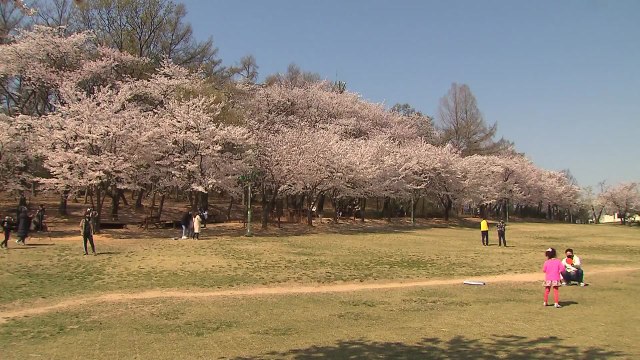 [날씨] 한식·식목일, 낮 동안 포근...맑고 공기 깨끗 / YTN
