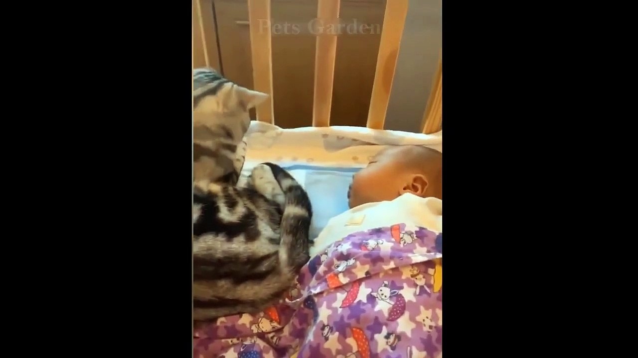 Cute Pets And Funny Animals Compilation #138 Pets Garden