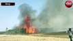 भीषण अग्निकांड में गन्ने की 30 बीघा फसल जलकर खाक,आग से 5 किसानो की पूरी फसल हुयी तबाह