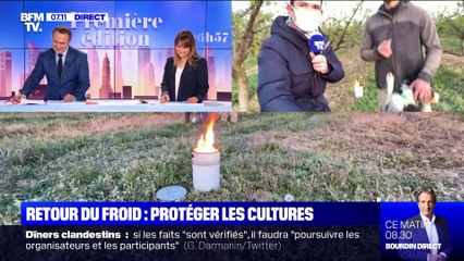 La parade pharaonique - 05/04