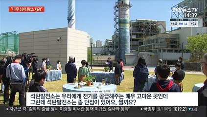 [녹취구성] 문대통령 "2050년까지 나무 30억 그루 심을 것"