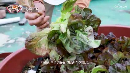 암 재발 없이 장수하게 해준 건강 채식 식단 TV CHOSUN 210405 방송