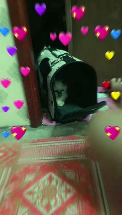 zeki cute