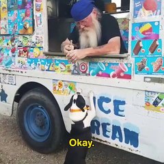 funny dog videos funny videos clean for kids  try not to laugh 720 x 720