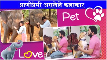 Sanskruti Balgude Enjoying With Elephant | Suyash Tilakचा Cute Friend | प्राणीप्रेमी असलेले कलाकार