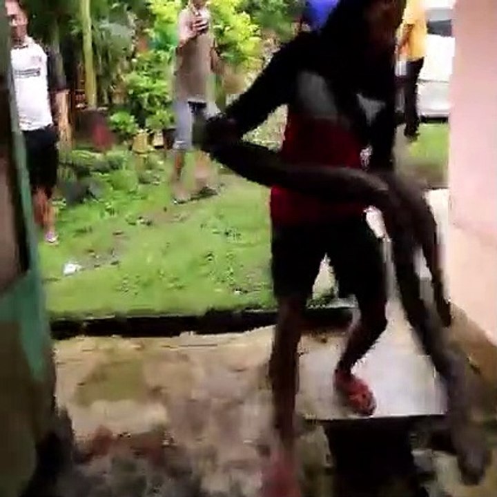 girl catch a vedio