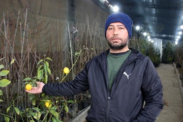 Vatandaş meyvesini artık kendi yetiştiriyor