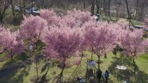 Güzel havayı fırsat bilen New Yorklular Paskalya Günü'nde parklara akın etti