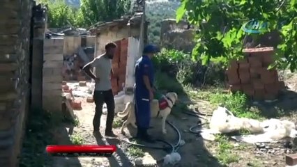 Küçük Rüya ve anneannesi bulundu