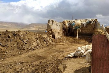 Damı çöken ahırdaki 12 küçükbaş hayvan telef oldu