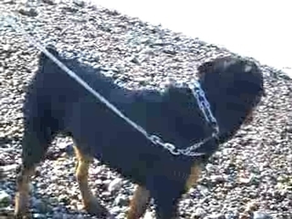 Vidéo mer