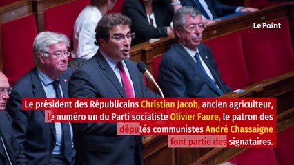 Élevage bovin : 143 parlementaires dénoncent une « économie de destruction »