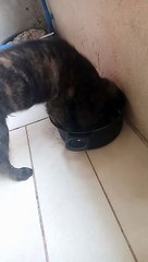 sarap magtampisaw sa malamig na tubig 