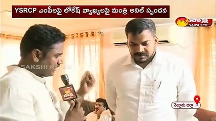 YSRCP ఎం పీలపై లోకేష్  వ్యాఖ్యలపై మంత్రి అనిల్  స్పందన