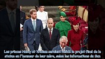 Harry et William - les deux frères sont tombés d'accord pour la statue en hommage à leur mère