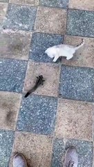 Best videos, Top videos, Viral videos Funny videos no. 30