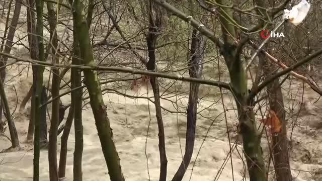 Vatandaşlar taşma noktasına gelen dereyi endişeyle izledi